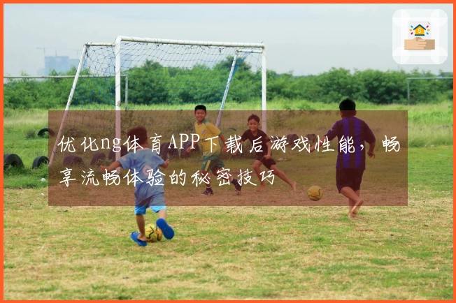 优化ng体育APP下载后游戏性能，畅享流畅体验的秘密技巧