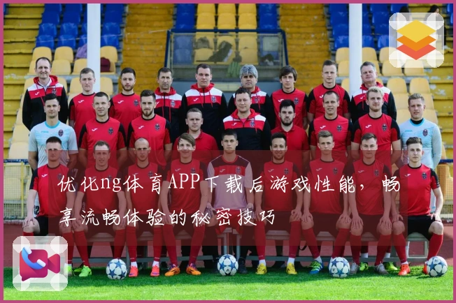 优化ng体育APP下载后游戏性能,畅享流畅体验的秘密技巧
